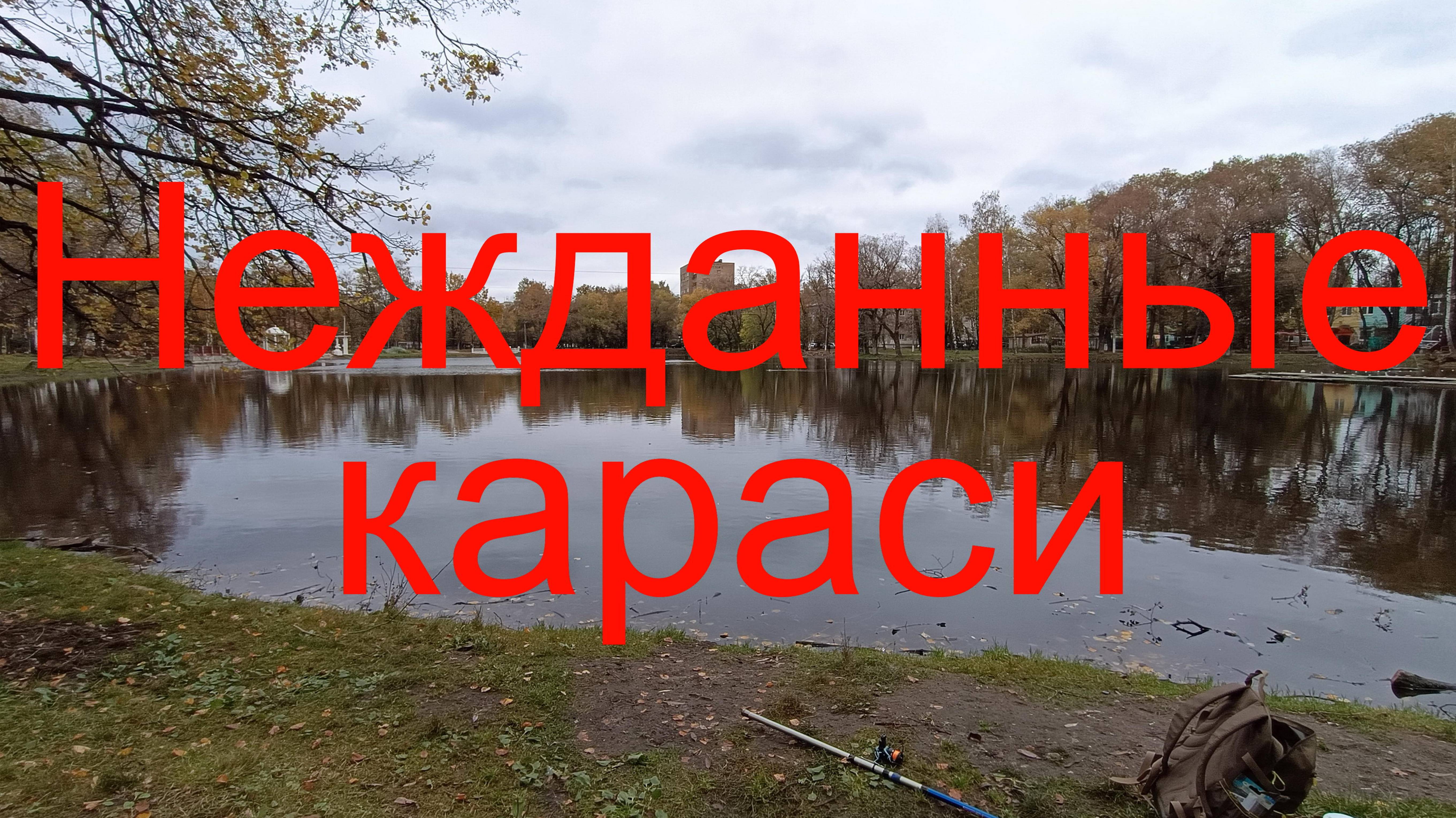 Нежданные караси. г. Раменское. оз. Пионер.  10.10.2024.