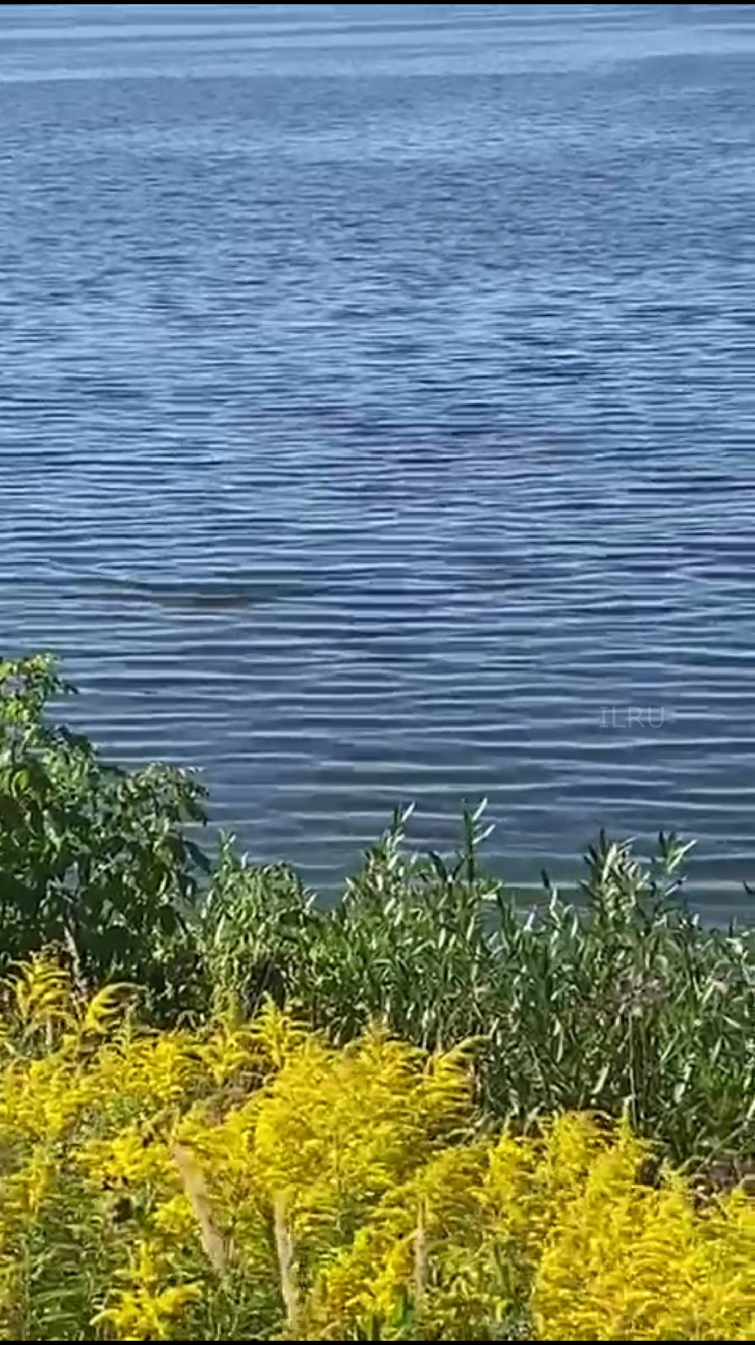 Путешествие по городам - Дубна Московская область - Подмосковье #путешествие #путешествиепогороду