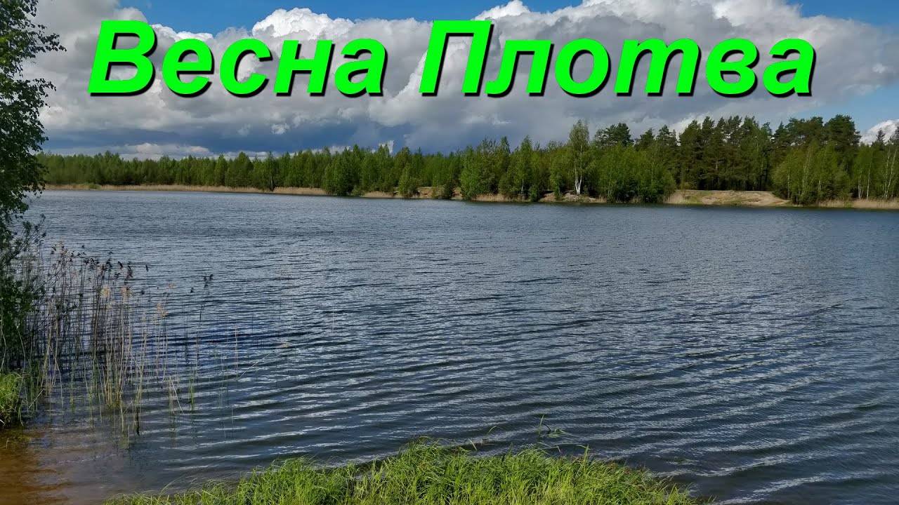 Весна Рыбалка На Плотву Подмосковье