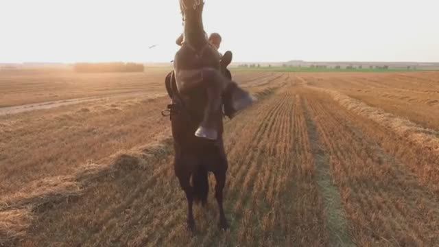 ,,Время лошадей,, Horses time