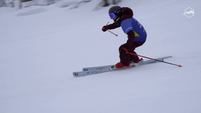 Горные лыжи Salomon STANCE W 80 2021-2022. Обзор