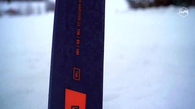 Горные лыжи Salomon S/FORCE FEVER 2021-2022. Обзор