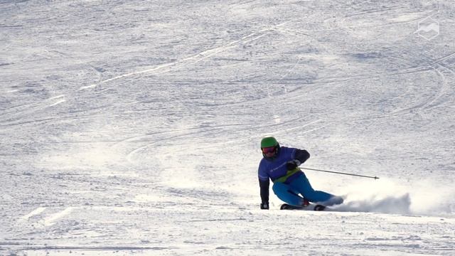 Горные лыжи Head Wc Rebels E-Sl 2021-2022. Обзор