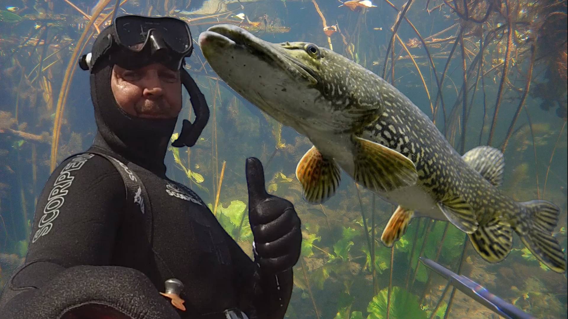 ПОДВОДНАЯ ОХОТА Лучшие и интересные моменты охоты Щуки по 4-5 кг Лини Язи и Лещи