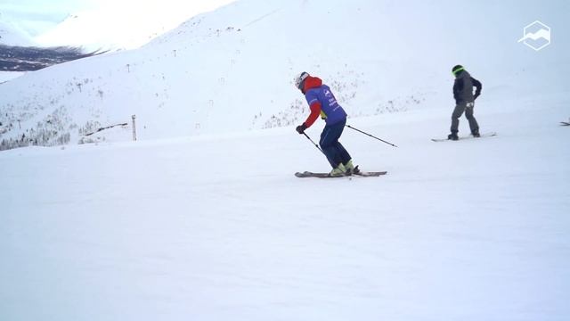 Горные лыжи Salomon Stance 84 2021-2022. Обзор