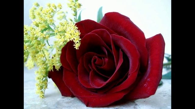 что такое греза