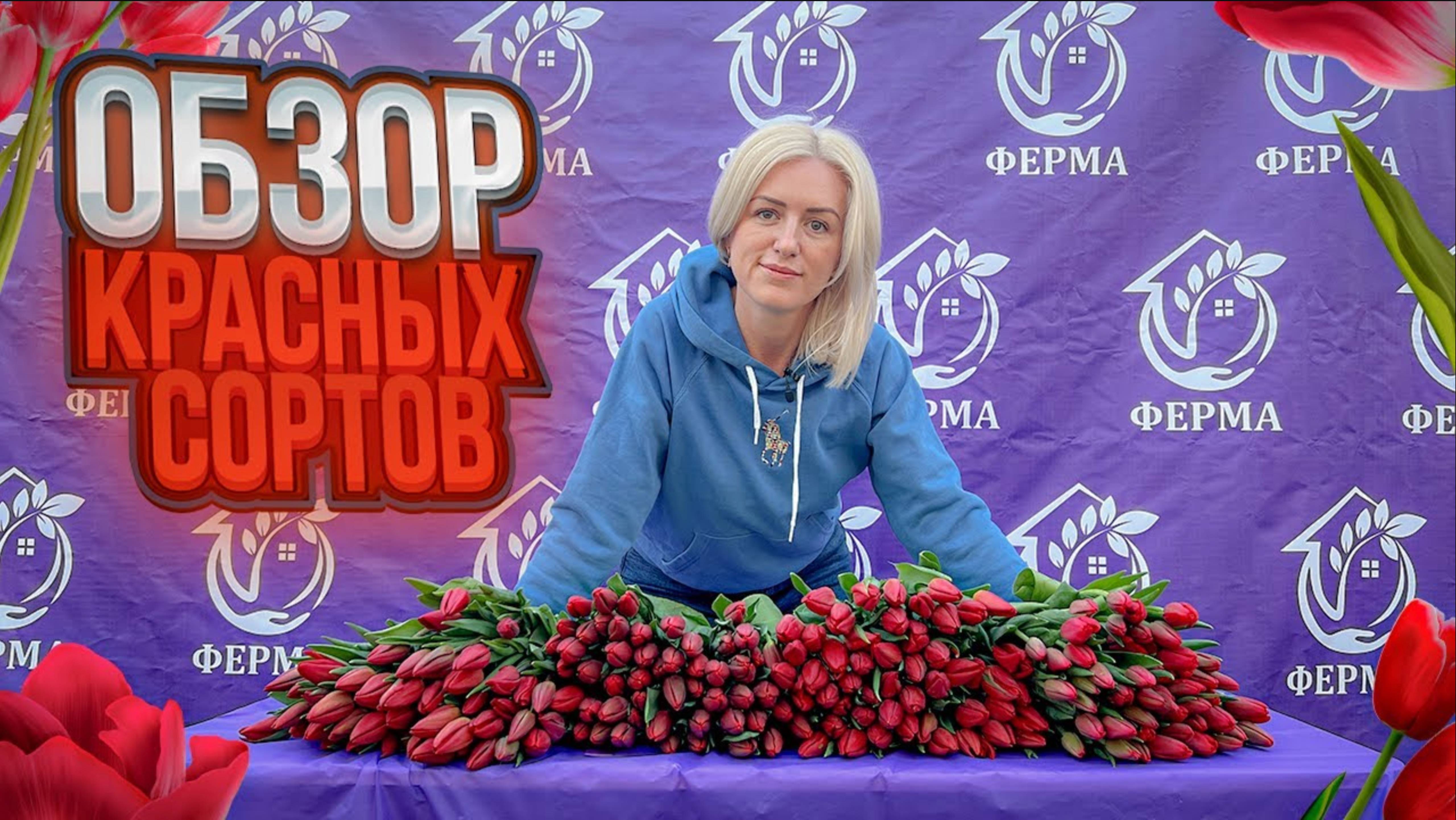 ОБЗОР СОРТОВ КРАСНЫХ ТЮЛЬПАНОВ