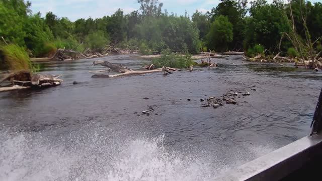 Лето, речка, водомёт! (Камчатка 2024)