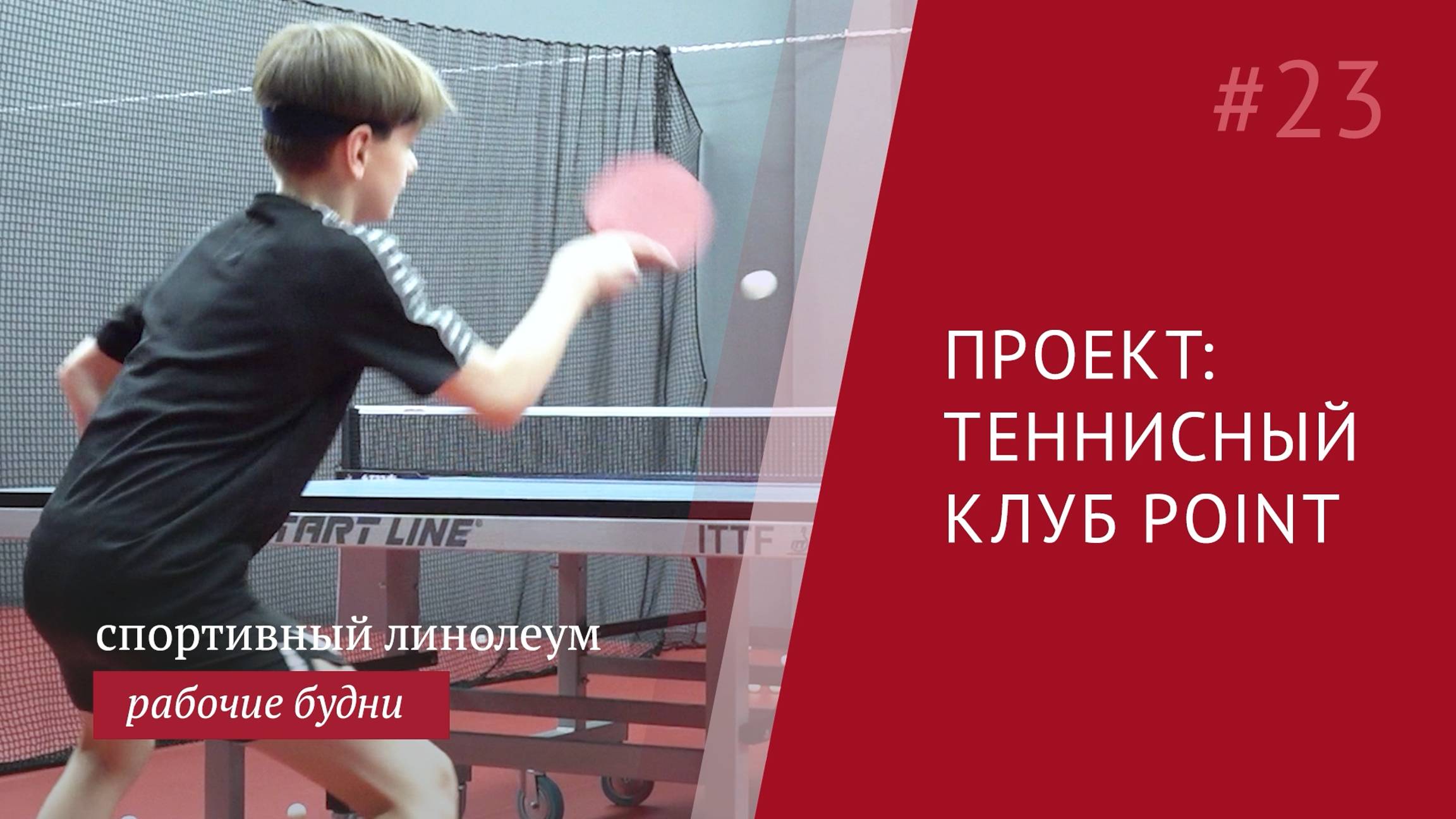 Полы для настольного тенниса, что выбрать?