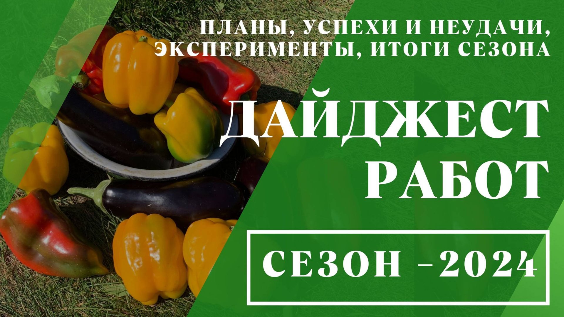 Дайджест работ // сезон - 2024