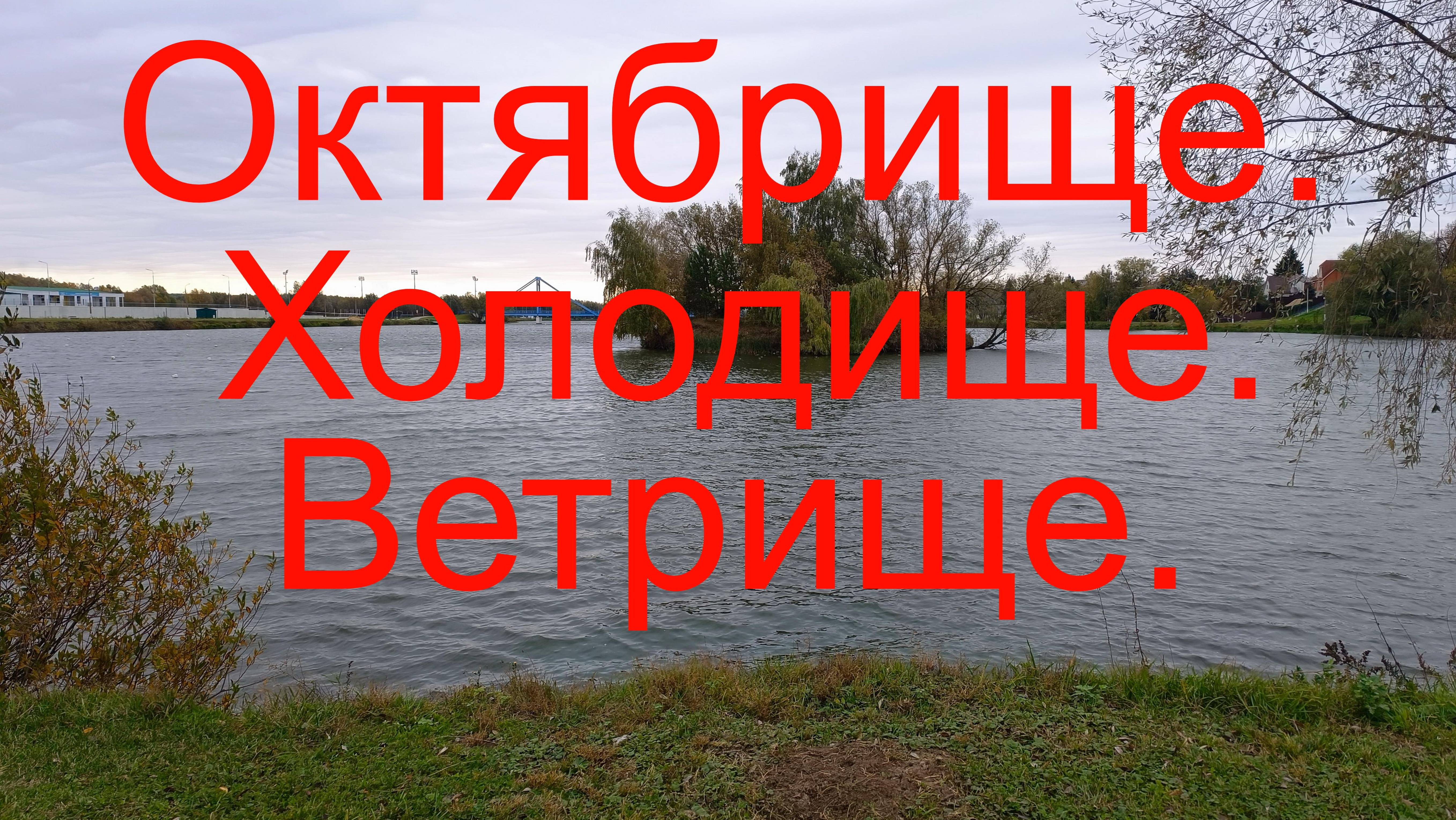 Октябрище. Холодище. Ветрище. г. Бронницы. оз. Бельское. 14.10.2024.