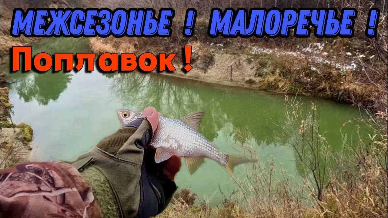 МЕЖСЕЗОНЬЕ ! МАЛОРЕЧЬЕ ! ПОПЛАВОК !!! Плотва 23 октября 2024г.