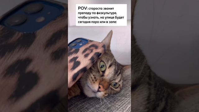 А можно сегодня в зале