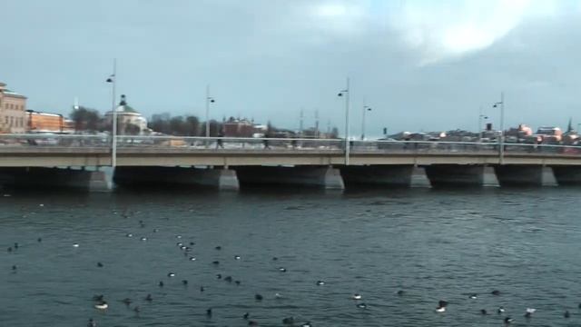 Стокгольм - у дворца