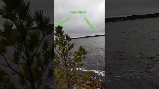 природа в Карелии