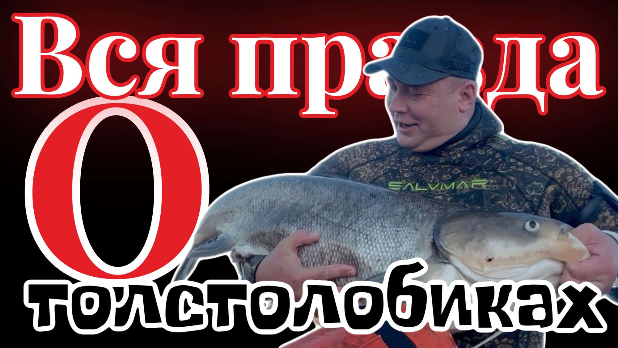 Как найти осеннего толстолобика? Подводная охота на толстолобика осенью.