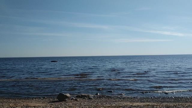 На Заливе май 2021