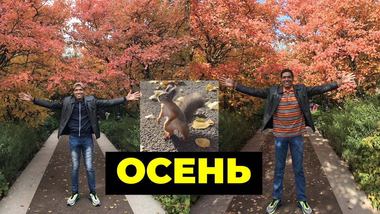 ПРАКТИКА АУДИРОВАНИЯ ИСПАНСКОГО: ✅ Осень - Otoño 🔥