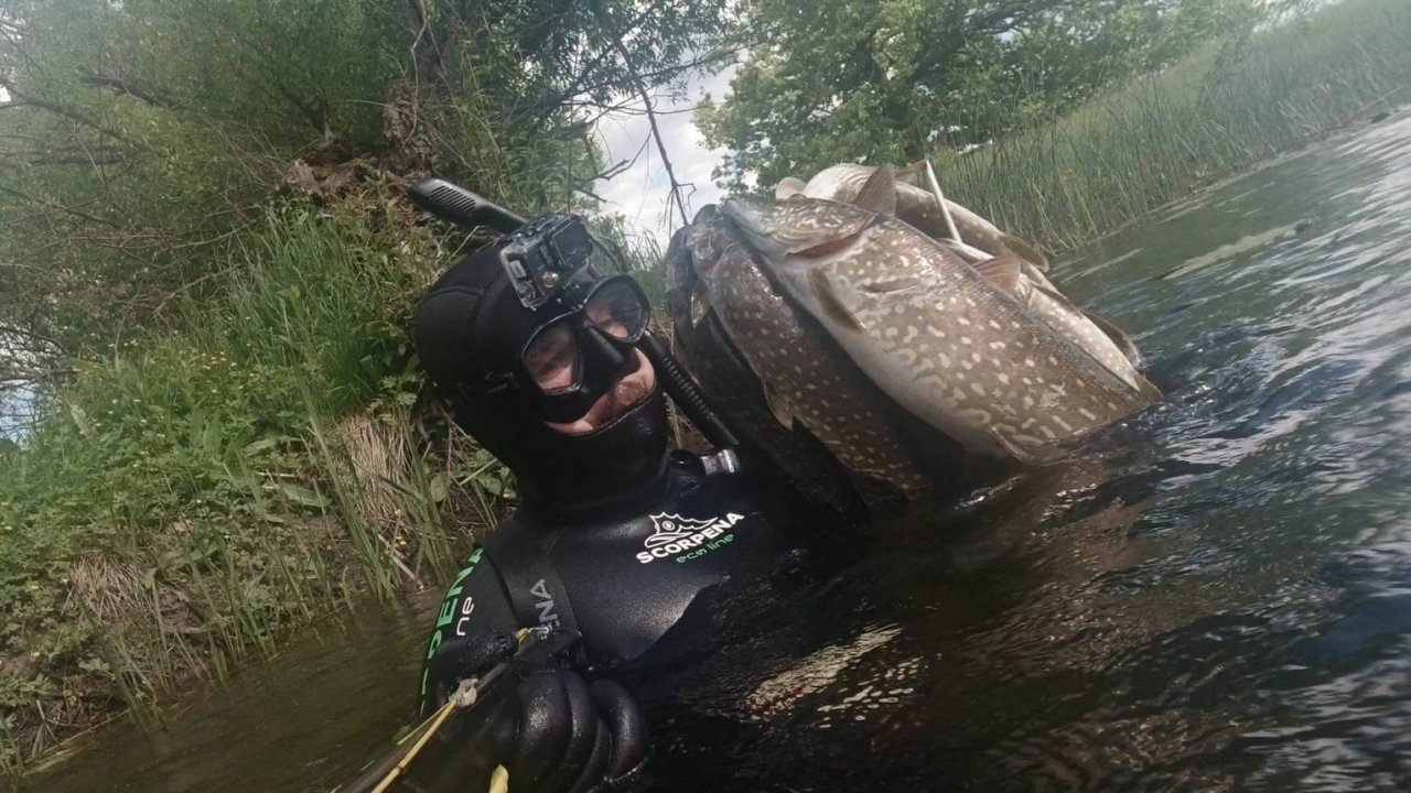 Подводная охота на слиянии сплавом Отличный улов Трудовая охота