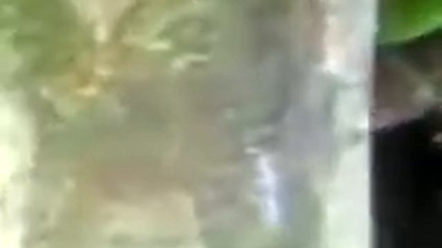 Подарок маме!