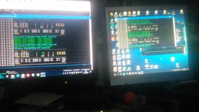 VID_20241026_214904.mp4