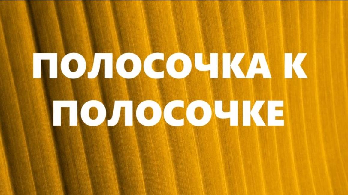 Косметички из узких полосок.Шитьё из полос.(октябрь 2024г)