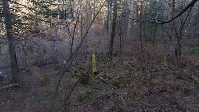 Прогулка по Хехциру 16.10.2022 через горнолыжку до речки Левой