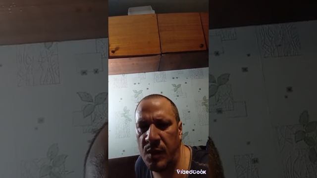 625.1.12.08. PROPHET. SHCHERBAKOV. ЩЕРБАКОВ АРТЕМ.