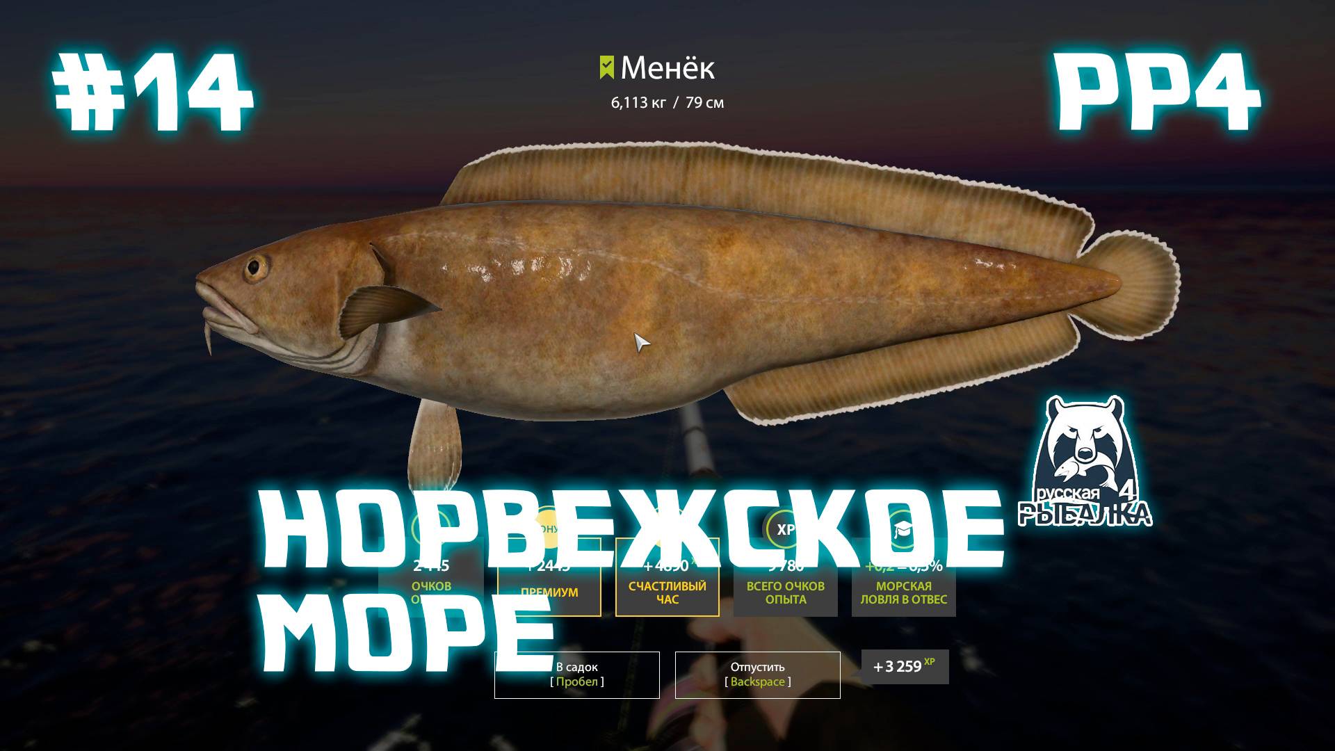 Тур на Норвежское море\\ Русская рыбалка 4 №14