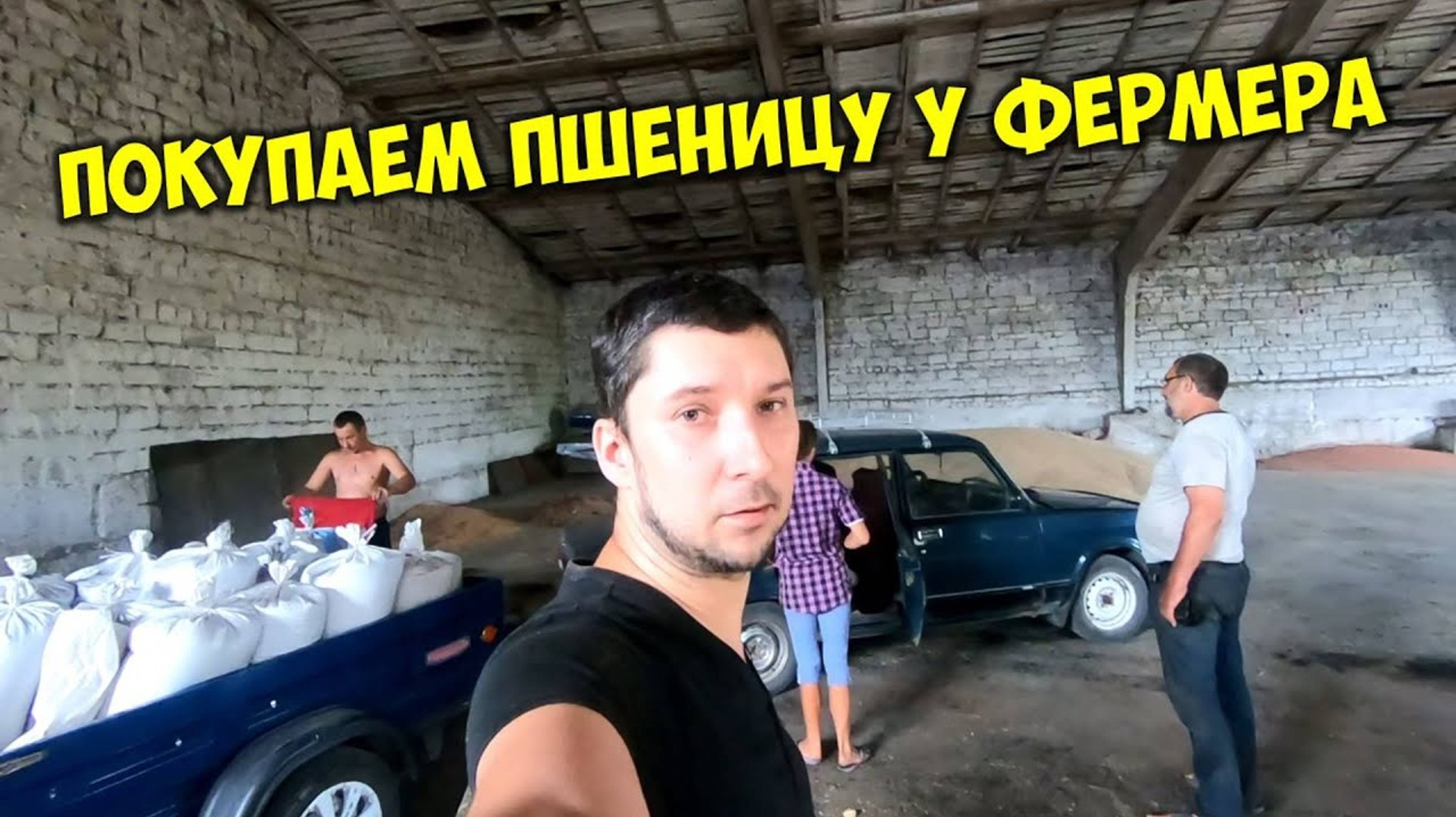 Купили дёшево пшеницу у фермера Почему не заводится машина