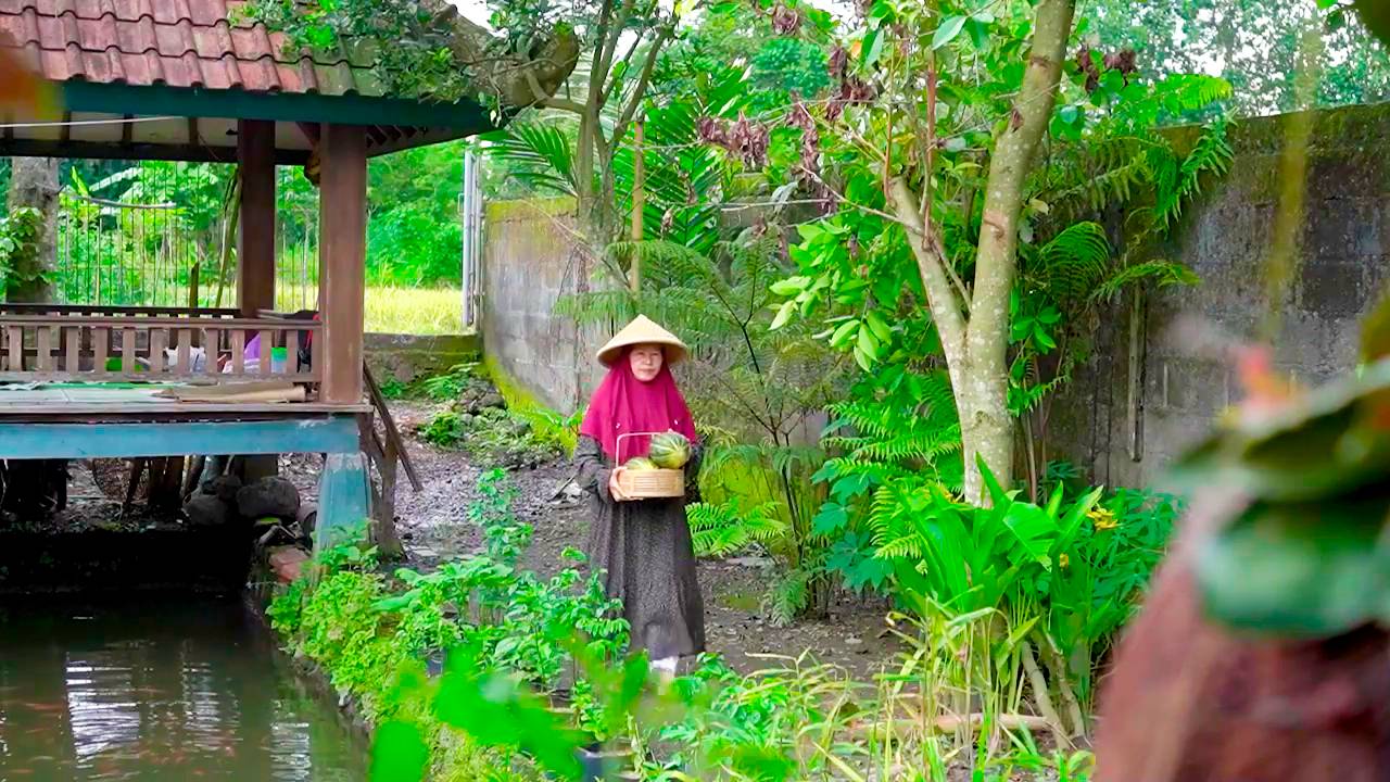 Жизнь в деревне Малайзии Сбор дыни и приготовление галангала, курицы, кокосового мороженого из дыни