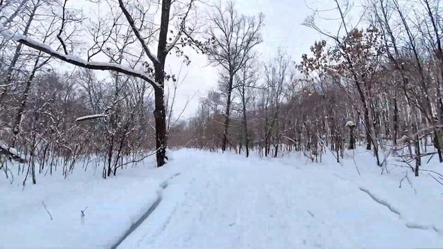 Спуски на 10 км трассе на Ильинке 2022