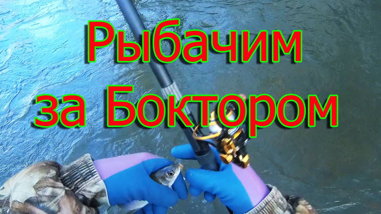 Рыбачим за Боктором 🐠🐋🦈