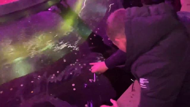 Парк Галицкого-это Чудо!  Рождество в кругу семьи