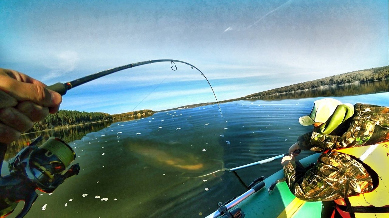 Рыбалка с ночёвкой, рекордные рыбы, уха, костёр и дикие поклёвки
