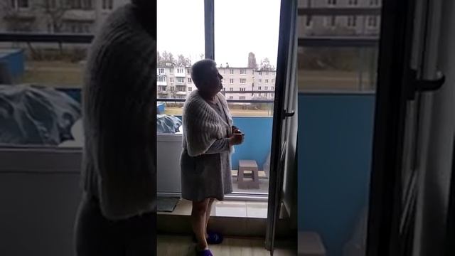 Москитные сетки. Установка москитных сеток в Санкт-Петербурге