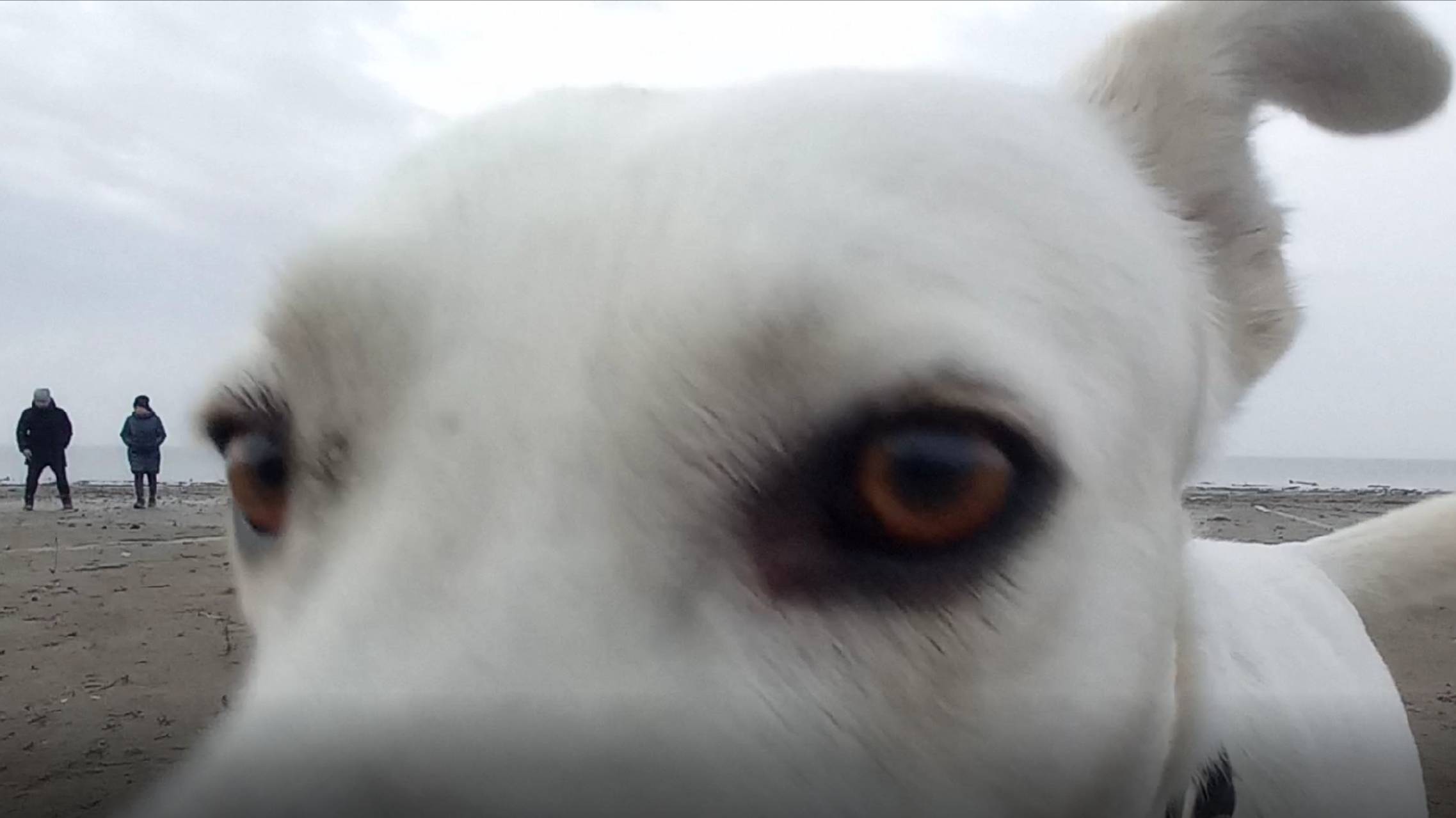 Один день жизни в автодоме. Краснодарское МОРЕ ?!! Миф или реальность? Хутор Ленина.