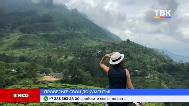 Программа "Дайджест" 31-10-24