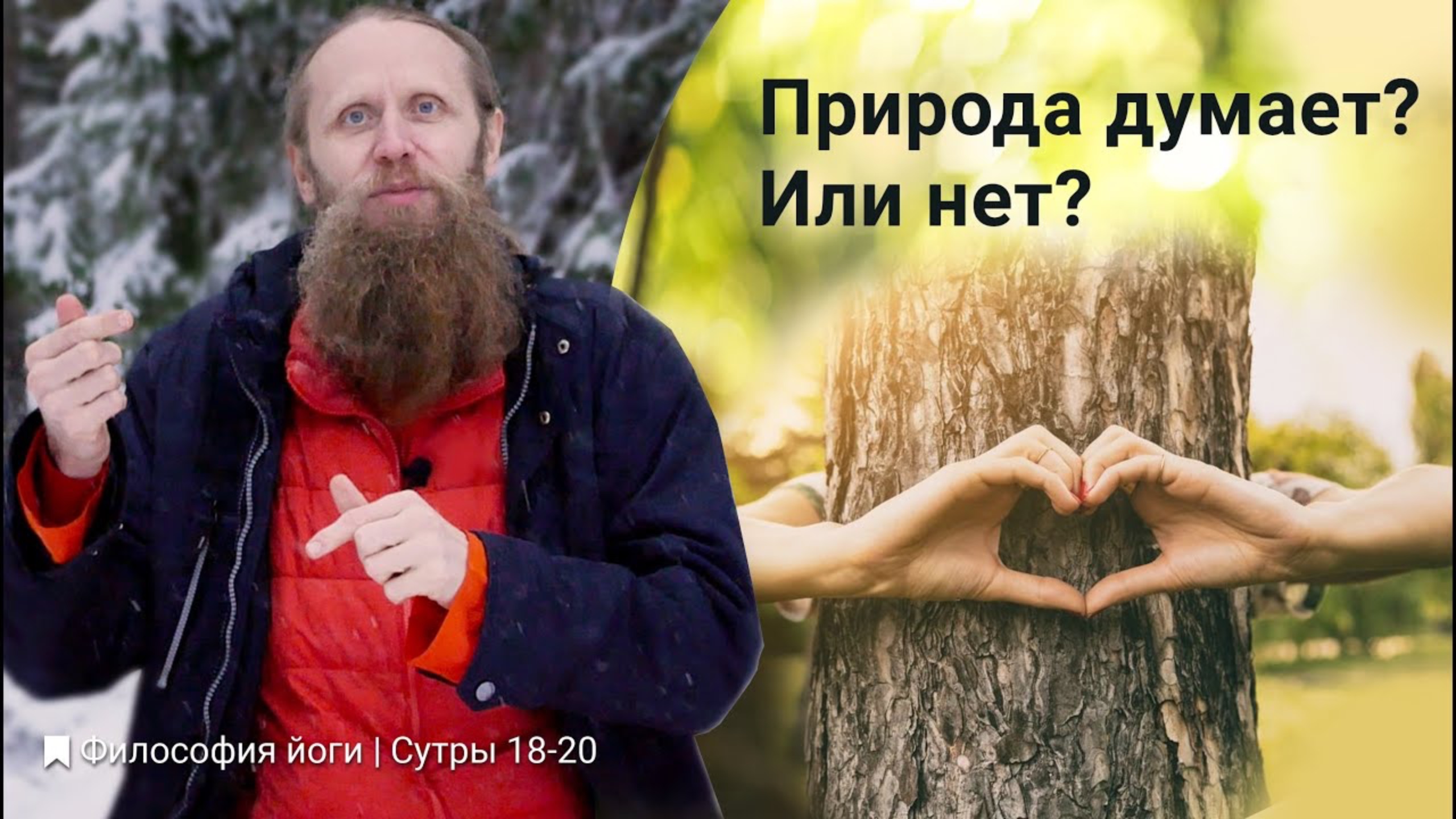 Три вида разума во Вселенной. Как появляется свобода выбора?| Философия йоги. Сутры (№18, 19, 20)