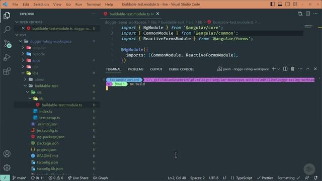314. Demo - Publishable and Buildable Libraries