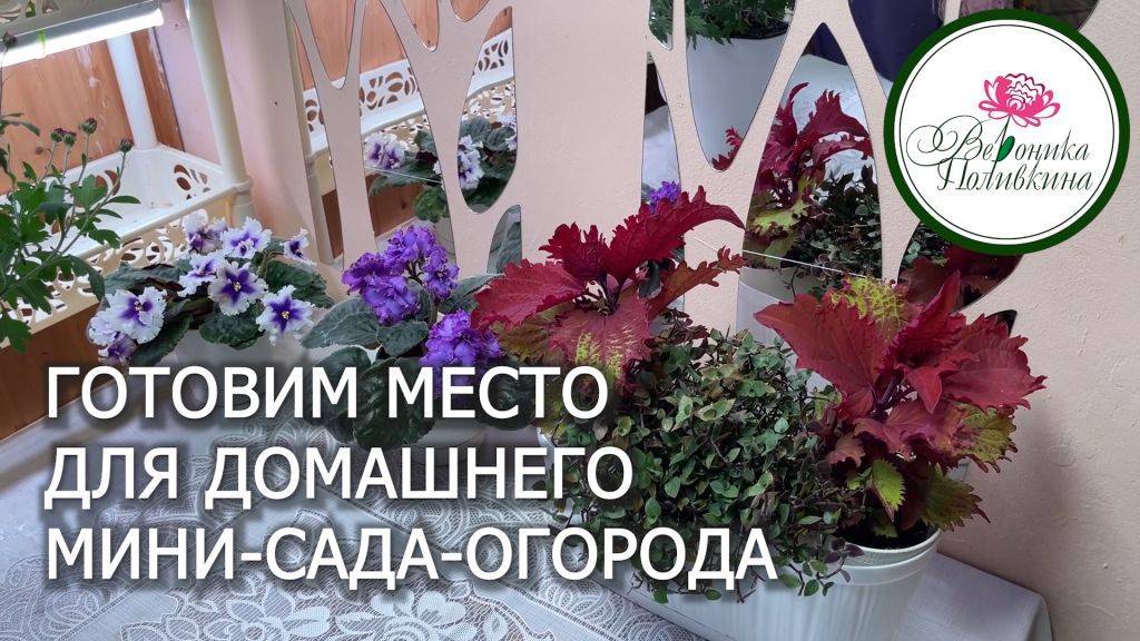 ГОТОВИМ МЕСТО ДЛЯ ЗИМНЕГО САДА-ОГОРОДА_1_1