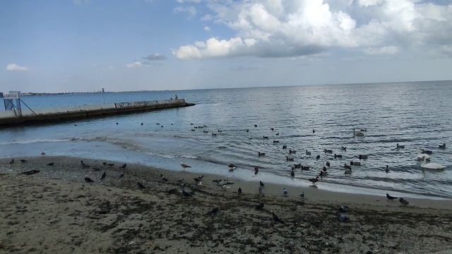 По набережной Феодосии с нами.