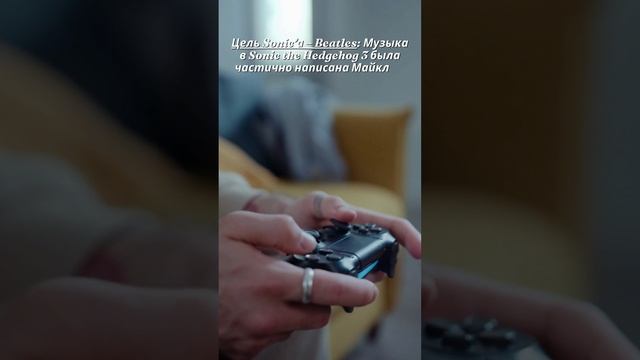 Факт про игру Sonic