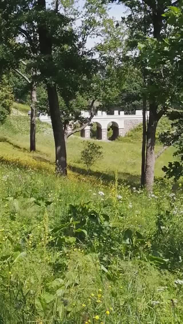 Ораниенбаум 2024. Панорама парка. река Караста и Петровский мост