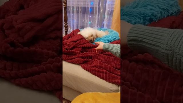 палец откушу Лариска...