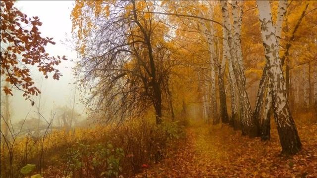 LARISSA TRI - ОТГОВОРИЛА РОЩА ЗОЛОТАЯ