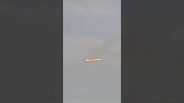 Наперегонки...