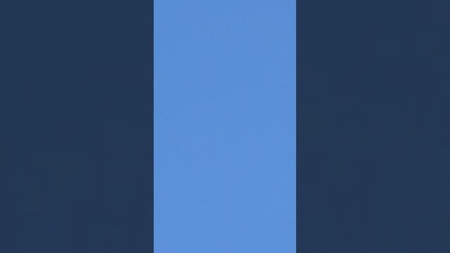 Движуха по полной...