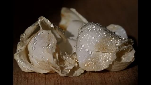 LARISSA TRI - Я ЛЮБЛЮ ТЕБЯ ДО СЛЁЗ