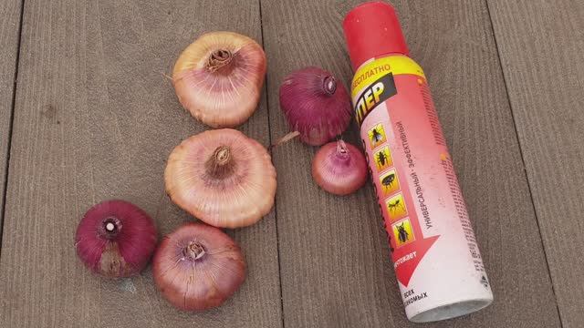 Гладиолусы. Эффективный способ обработки осенью клубней от вредителей.